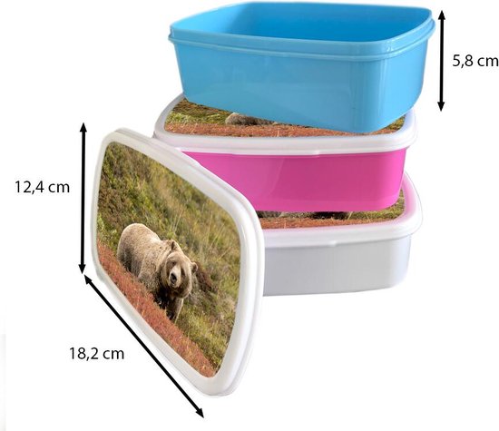 Broodtrommel Wit - Lunchbox - Brooddoos - Beer - Heide - Grizzly - 18x12x6 cm - Volwassenen