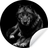 Papier peint cercle - Papier peint autocollant - Animaux - Loup - Wit - 80x80 cm - Papier peint rond - Papier peint cercle autocollant - Décoration murale cercle - Salon
