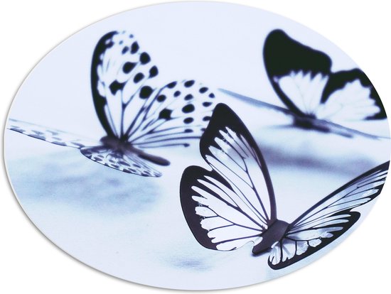 WallClassics - PVC Schuimplaat Ovaal - Zwarte Vlinders op Witte Achtergrond - 68x51 cm Foto op Ovaal  (Met Ophangsysteem)