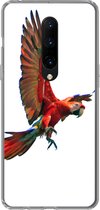 Geschikt voor OnePlus 7 Pro hoesje - Ara - Vogel - Portret - Siliconen Telefoonhoesje