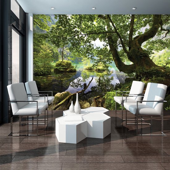 Papier peint photo King - Forêt avec lac - Papier peint non tissé - Papier peint - 152,5 x 104 cm