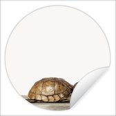 Behangsticker kids - Decoratie voor kinderkamers - Schildpad - Jongen - Dieren - Kinderen - Meisjes - 140x140 cm - Muurdecoratie meisjeskamer - Schilderij voor kinderen