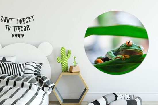 WallCircle - Muurstickers - Behangcirkel - Kikkers in de natuur van Costa Rica - ⌀ 120 cm - Muurcirkel - Zelfklevend - Ronde Behangsticker XXL