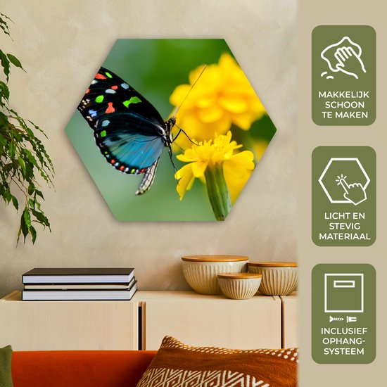 Hexagon wanddecoratie - Kunststof Wanddecoratie - Hexagon Schilderij - Vlinder - Bloem - Dier - Insect - 75x65 cm