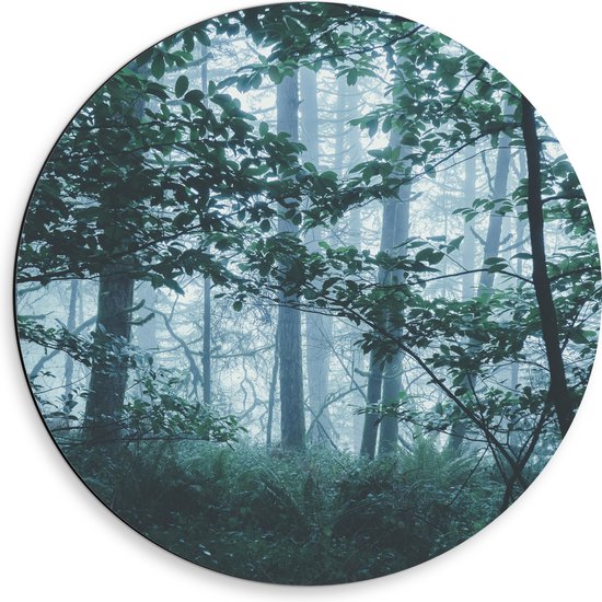 WallClassics - Dibond Muurcirkel - Lichte Mist in een Groen Bos - 50x50 cm Foto op Aluminium Muurcirkel (met ophangsysteem)