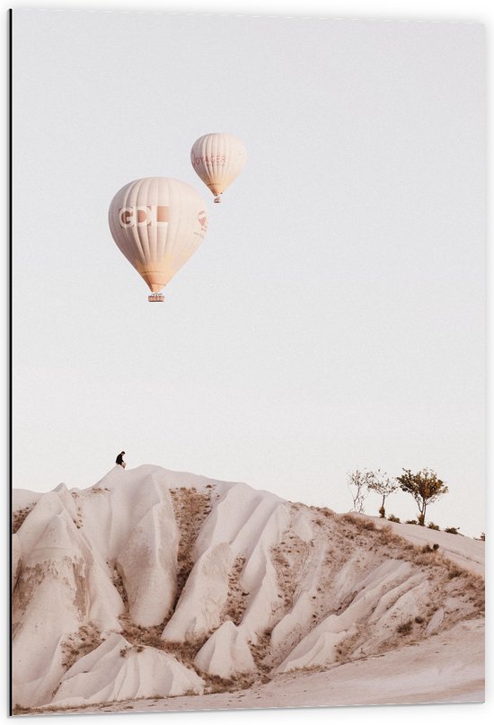 WallClassics - Dibond - Twee Beige Luchtballonnen boven Beige Landschap - 60x90 cm Foto op Aluminium (Met Ophangsysteem)