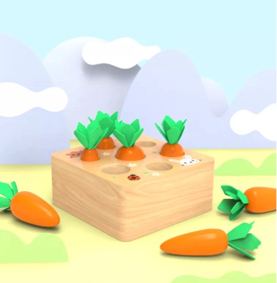 Thumbnail van een extra afbeelding van het spel Montessori Houten Wortel Spel | 15*15*4,5 cm | Memory | Cognitief
