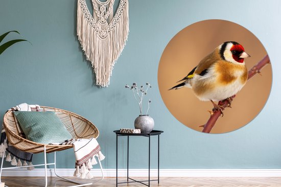 Cercle Mural - Cercle Mural - Chardonneret - Vogel - Animaux - Aluminium - Dibond - 140x140 cm - Intérieur et Extérieur