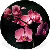 WallCircle - Wandcirkel - Muurcirkel - Planten - Orchidee - Bloemen - Roze - Aluminium - Dibond - ⌀ 30 cm - Binnen en Buiten