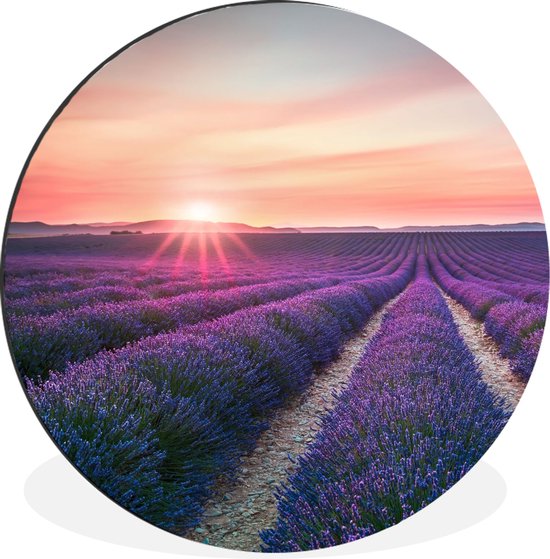 WallCircle - Wandcirkel - Muurcirkel - Lavendel - Paars - Bloemen - Lucht - Aluminium - Dibond - ⌀ 90 cm - Binnen en Buiten