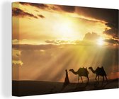 Canvas Schilderij Arabische man en kamelen zonsondergang - 120x80 cm - Wanddecoratie