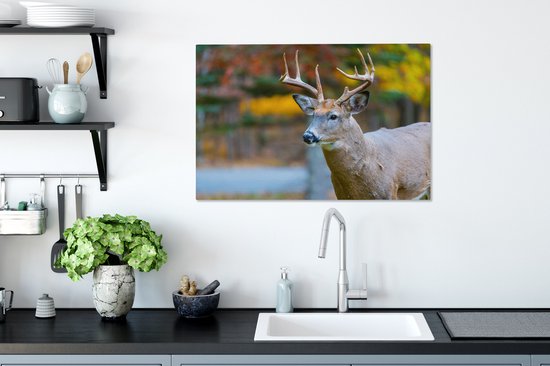 Cerf avec la tête en l'air toile 2cm 60x40 cm - Tirage photo sur toile peinture (Décoration murale salon / chambre) / animaux sauvages Peintures sur toile