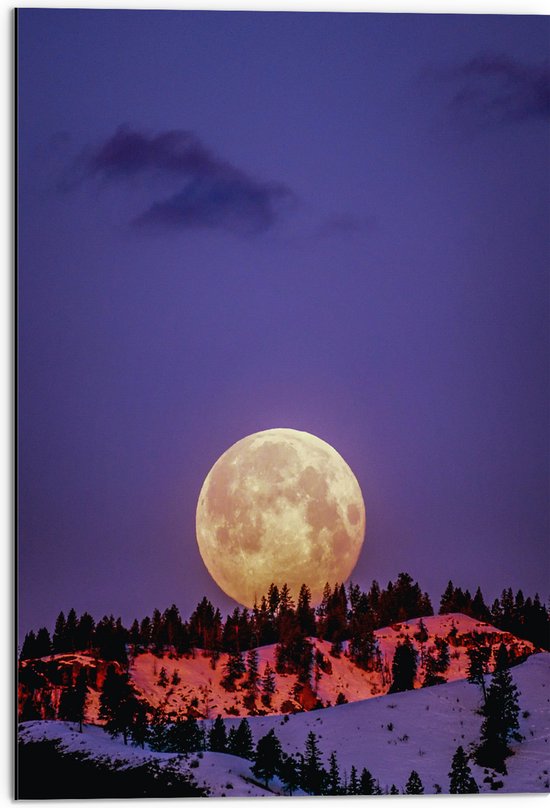 WallClassics - Dibond - Grote Volle Maan boven SneeuwBerg - 50x75 cm Foto op Aluminium (Met Ophangsysteem)