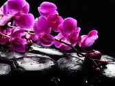 Fotobehang - Ontspannen moment: orchidee bloem en stenen.