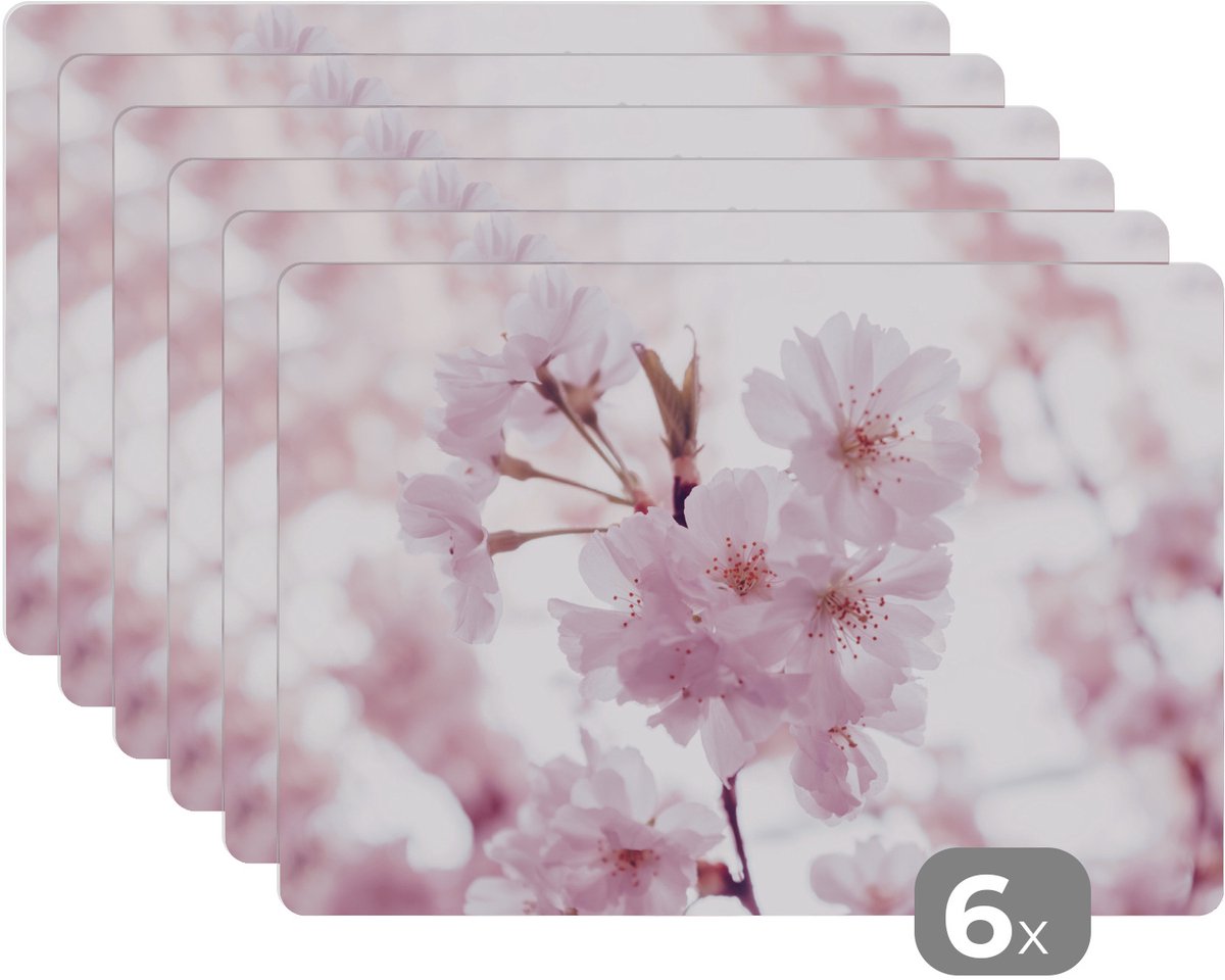 Placemats - Bloesem - Bloemen - Tak - Tafeldecoratie - 45x30 cm - 6 stuks