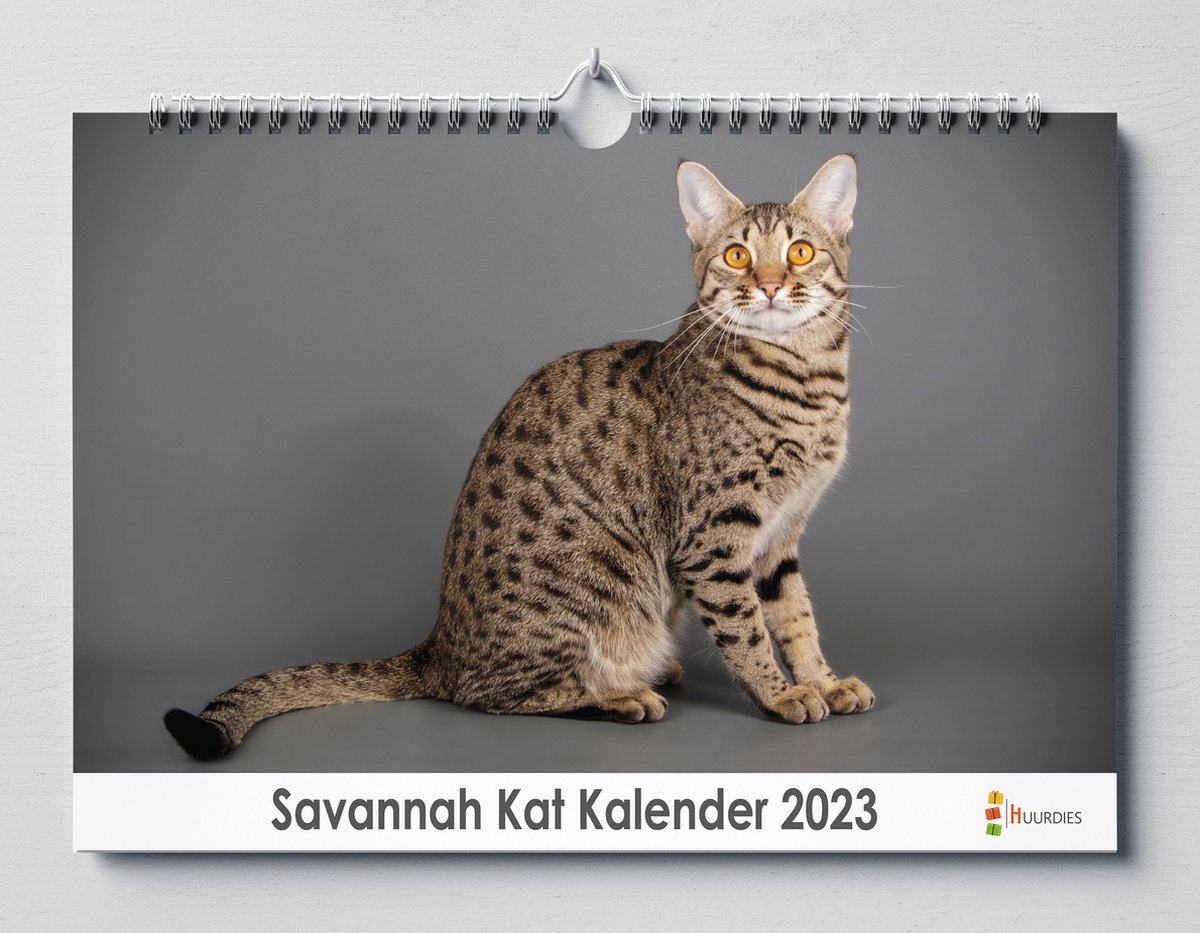 Savannah Kat kalender 2023 | 35x24 cm | jaarkalender 2023 | Wandkalender 2023