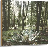 WallClassics - Hout - Grote Groene Varenplant in Bos - 80x80 cm - 12 mm dik - Foto op Hout (Met Ophangsysteem)