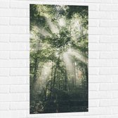 WallClassics - Muursticker - Felle Lichtstralen door Greoene Takken van Bomen in Bos - 50x100 cm Foto op Muursticker
