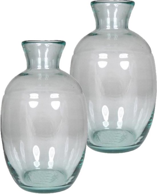 Eco bloemenvaas/vazen van glas met Diameter 18 en hoogte 29.5 cm - Voor binnen gebruik | bol.com