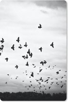Muismat - Mousepad - Dieren - Vogels - Wolken - Zwart - Wit - 18x27 cm - Muismatten
