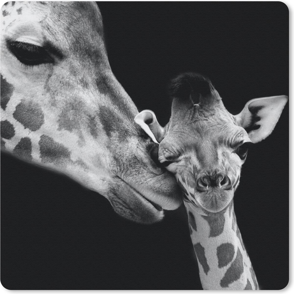 Muismat 30x30 cm - Mousepad Dieren - Zwart - Wit - Giraffe - Portret - Muismatten