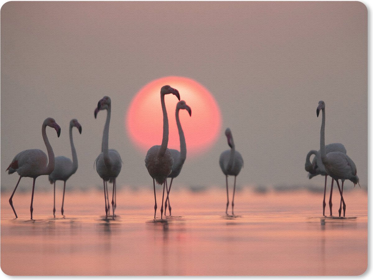 Muismat Groot - Vogel - Flamingo - Zonsondergang - Roze - 40x30 cm - Mousepad - Muismat