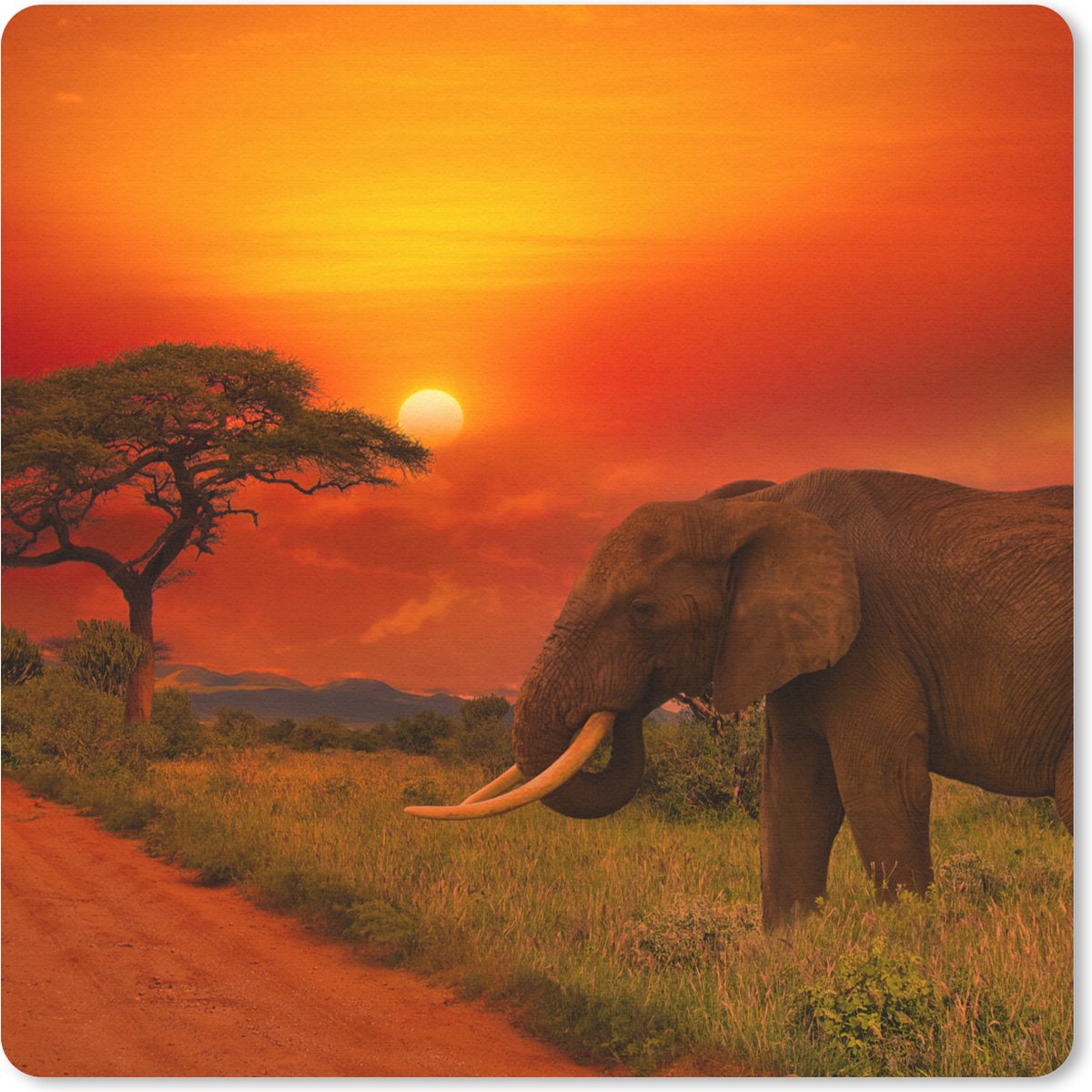 Muismat 20x20 cm - Mousepad Olifant - Zonsondergang - Oranje - Savanne - Dieren - Muismatten
