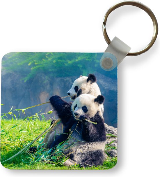 Porte-clés - Cadeaux - Panda - Bamboe - Herbe - Animaux