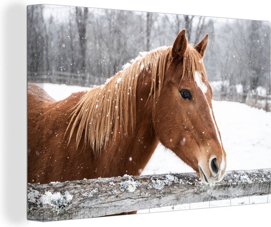 Tableau sur toile Cheval - Flocon de neige - Clôture - Hiver - 30x20 cm - Décoration murale