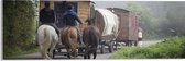 WallClassics - Acrylglas - Ouderwetse Caravan met Paard en Wagen - 60x20 cm Foto op Acrylglas (Met Ophangsysteem)