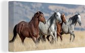 Canvas Schilderij Vier wilde mustang paarden rennen door het gras - 40x20 cm - Wanddecoratie