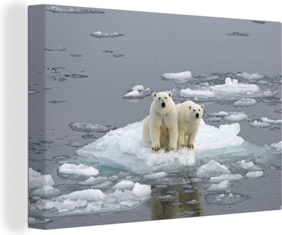 Polarberen op het pakijs Canvas 180x120 cm - Foto print op Canvas schilderij (Wanddecoratie)