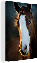 Canvas Schilderij Paard - Kop - Licht - 20x30 cm - Wanddecoratie
