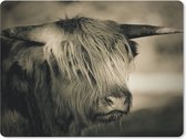 Muismat - Mousepad - Schotse Hooglander - Dieren - Haar - 23x19 cm - Muismatten