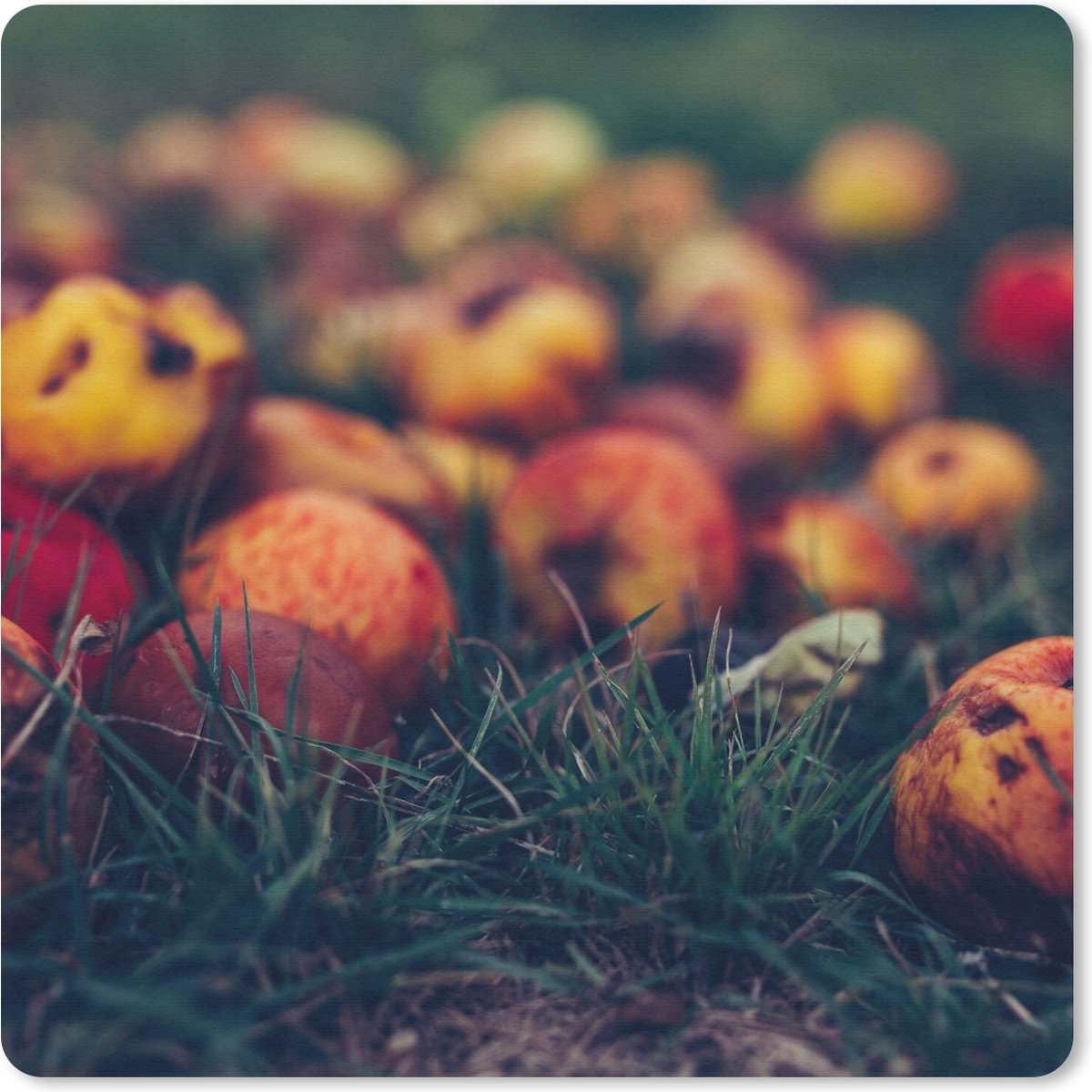 Muismat 30x30 cm - Mousepad Landelijke decoratie - Herfst - Appel - Fruit - Muismatten