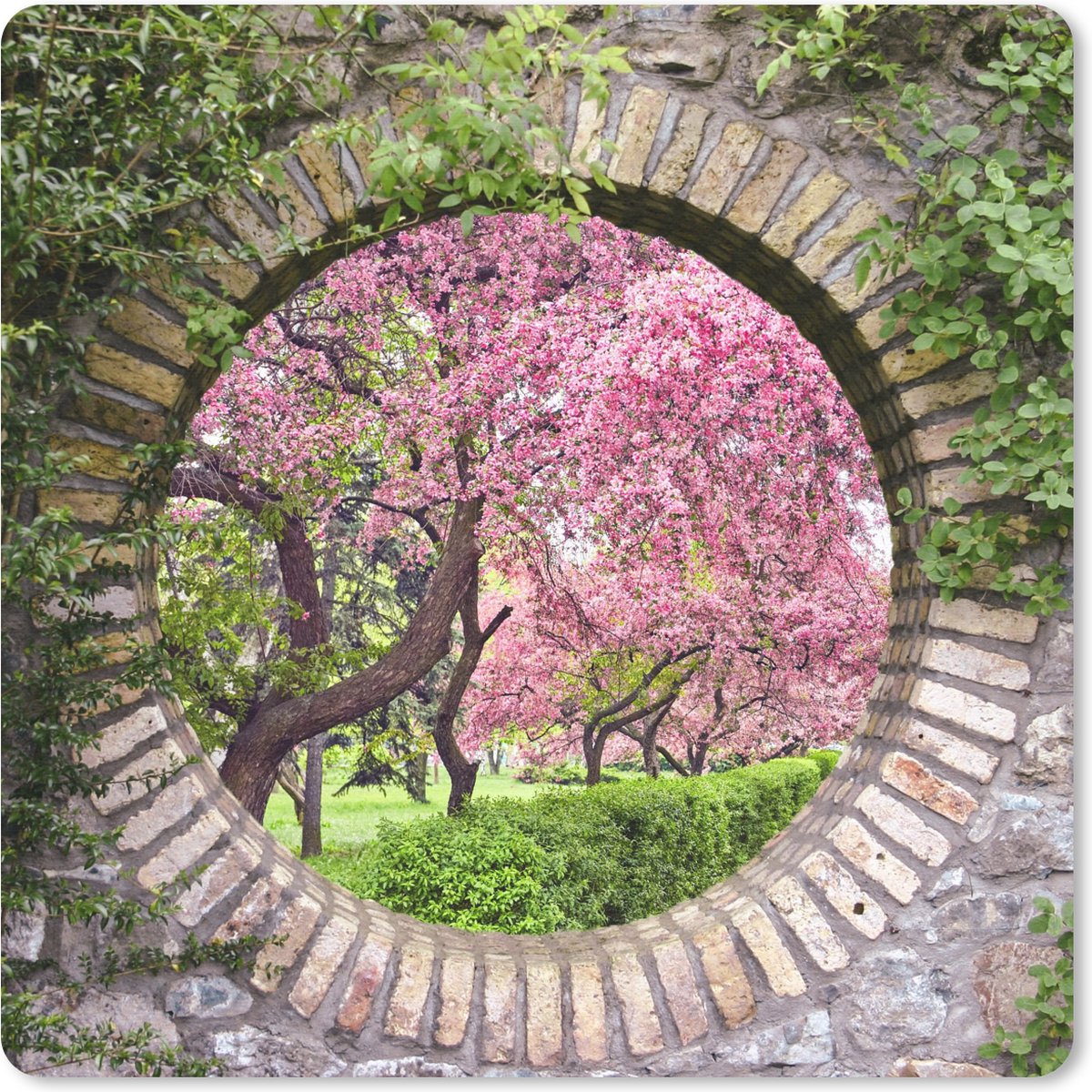 Muismat 30x30 cm - Mousepad Doorkijk - Sakura - Bloesem - Japans - Muismatten