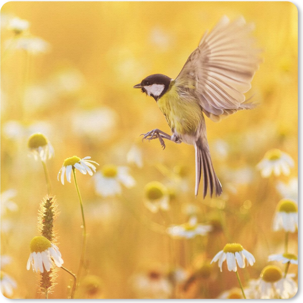Muismat 30x30 cm - Mousepad Vogel - Koolmees - Bloemen - Margriet - Muismatten