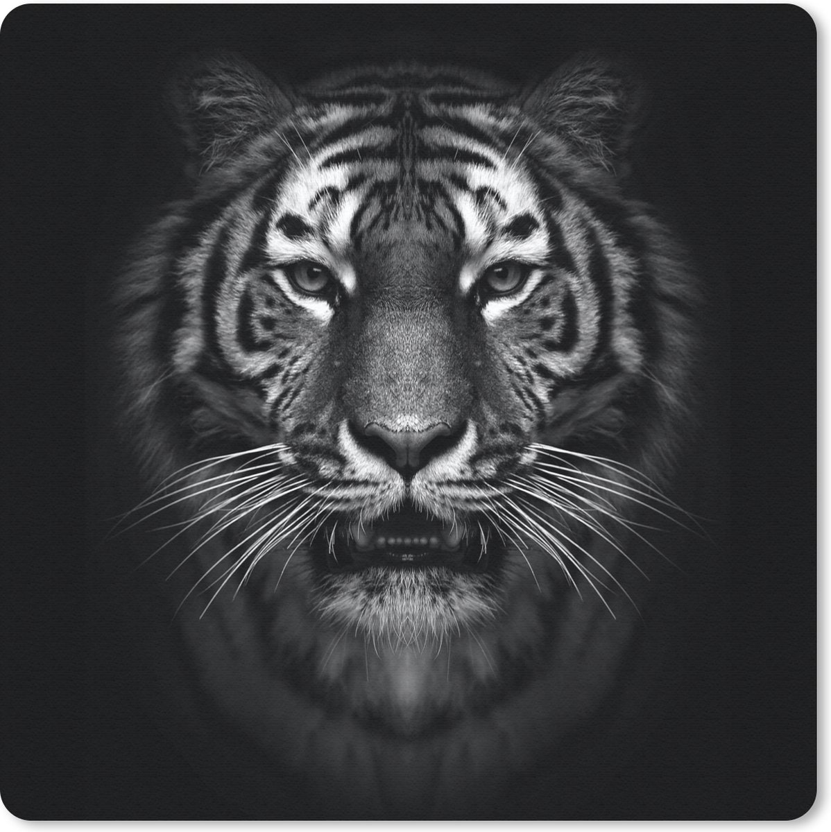 Muismat 20x20 cm - Mousepad Tijger - Dieren - Zwart - Wit - Portret - Wild - Muismatten