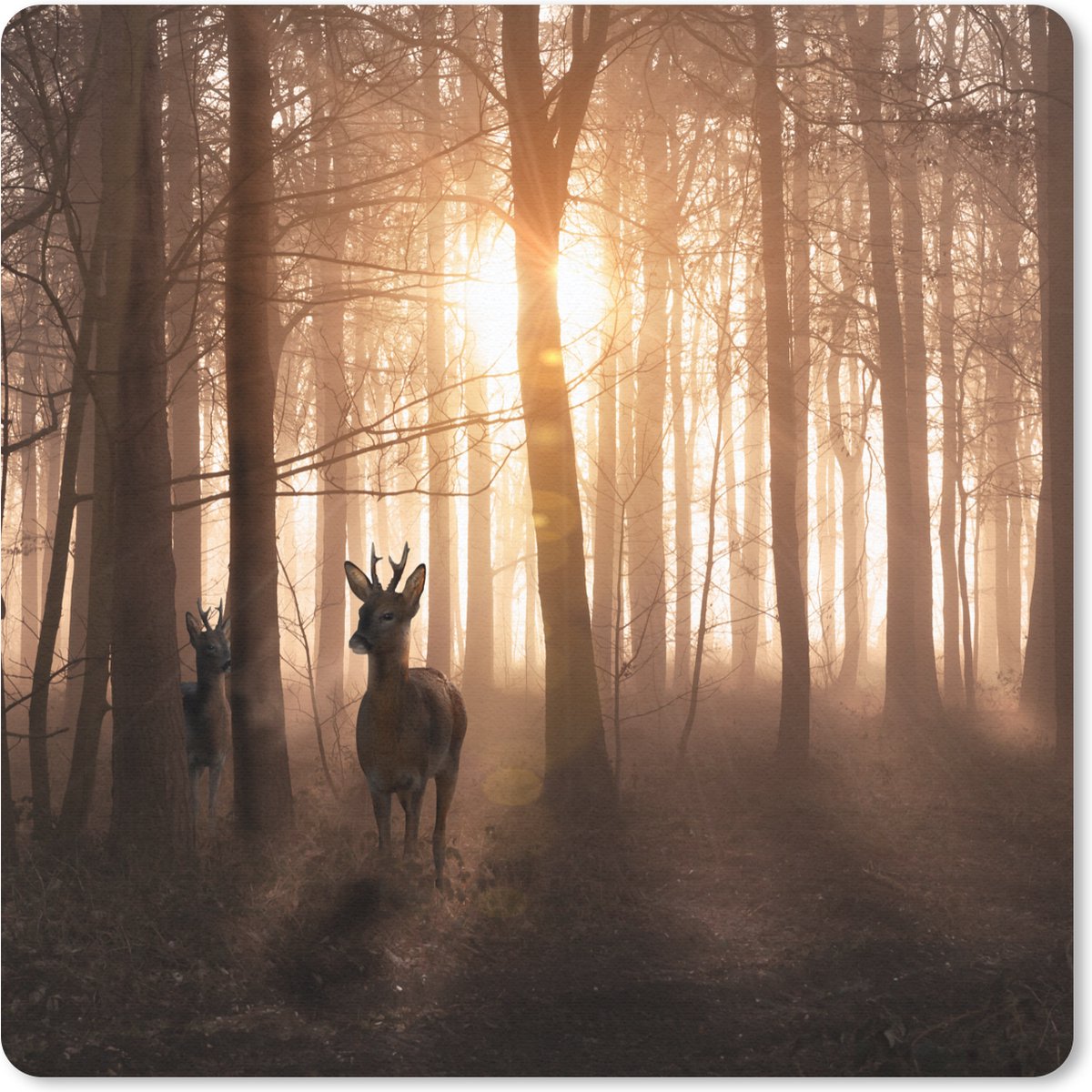 Muismat 30x30 cm - Mousepad Bos - Hert - Zon - Bomen - Winter - Natuur - Dieren - Muismatten