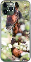 Geschikt voor iPhone 11 Pro hoesje - Paarden - Bloesem - Lente - Dieren - Siliconen Telefoonhoesje
