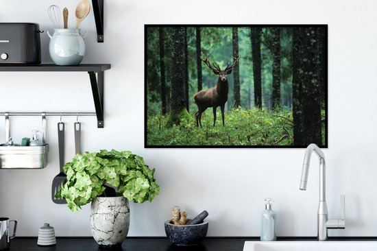 Cadre photo avec affiche - Cerf - Forêt - Arbres - Animaux - Nature - 60x40 cm - Cadre pour affiche