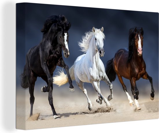 Peintures Paarden - Animaux - Sable - 90x60 cm - Décoration murale