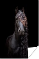 Poster Paarden - Fries - Manen - Zwart - Dieren - 60x90 cm