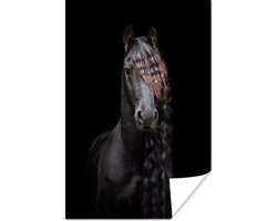 Poster Paarden - Fries - Manen - Zwart - Dieren - 60x90 cm