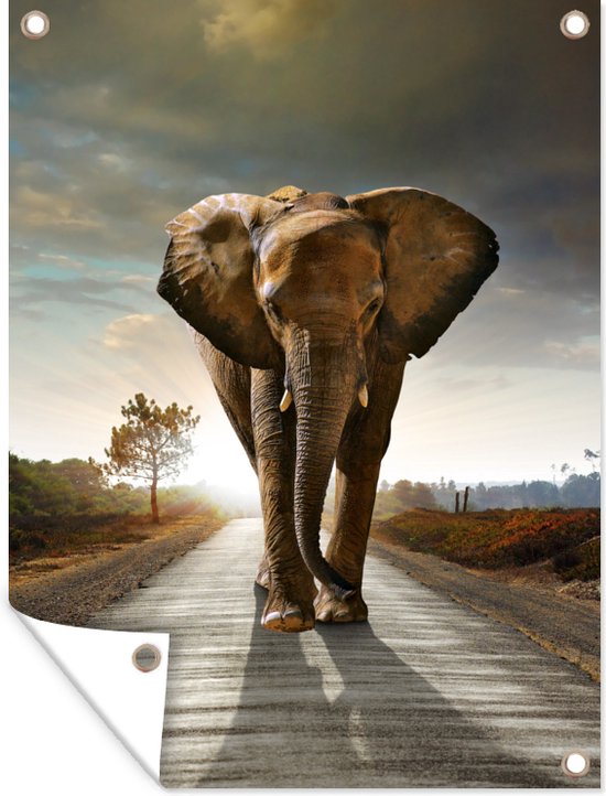 Décoration murale extérieure Éléphant Route Animaux Coucher de