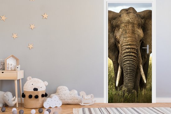 Sticker pour porte Éléphant - Nature - Herbe - Animaux - Paysage - 75x205 cm - Affiche de porte