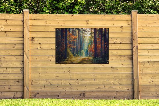Affiche jardin - Toile jardin - Affiches jardin extérieur - Forêt - Soleil - Nature - Automne - Posters de jardin cm - Jardin