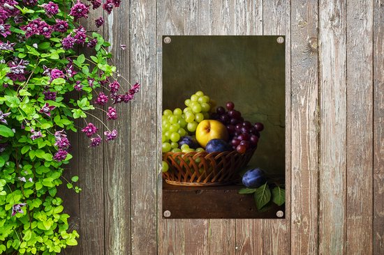 Décoration de jardin Rustique - Fruit - Canette - Corbeille - Nature morte - 40x60 cm - Poster jardin - Toile jardin - Poster extérieur