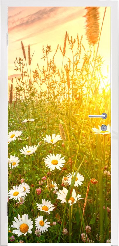 Sticker pour porte Fleurs - Marguerite - Nature - Soleil - Horizon - 80x215 cm - Poster de porte