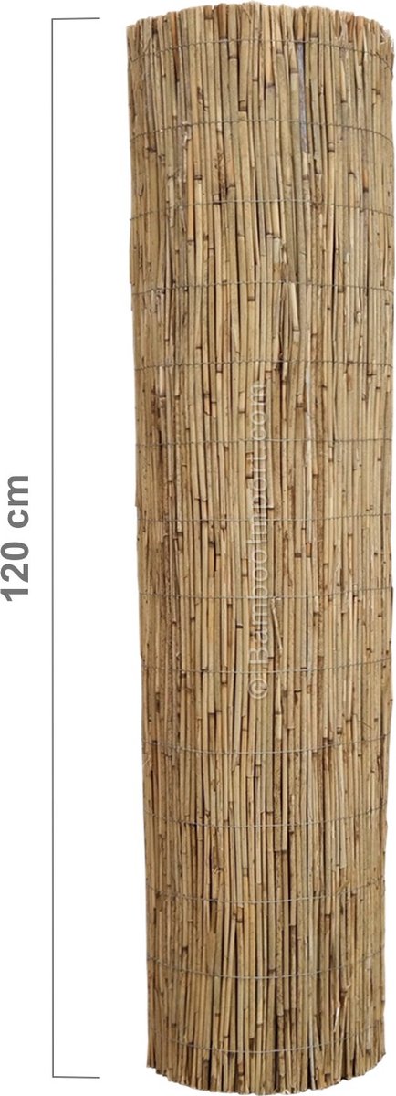 Bamboo Import Europe Rietmat Ongepeld 600 x 120 cm